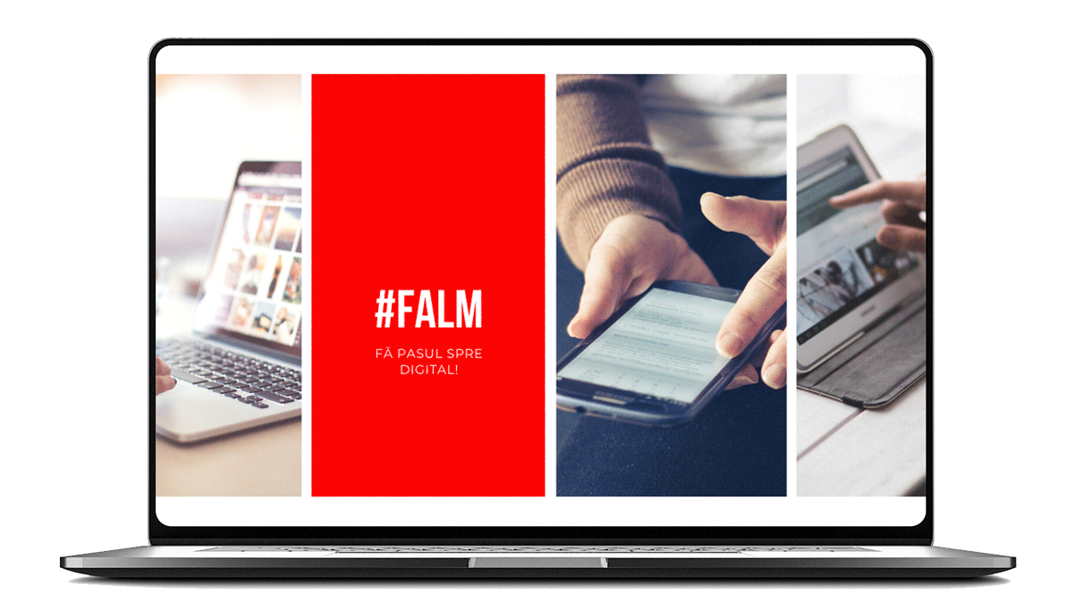 Afacerea ta online in 72 ore