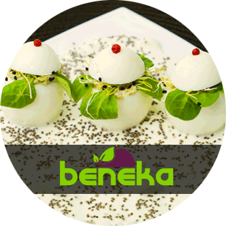 creare site de prezentare